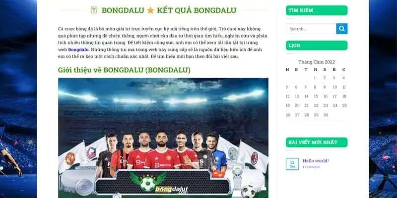 Đôi nét về kênh bóng đá trực tuyến Bongdalu