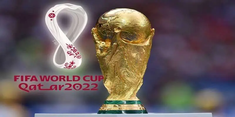 5 điều cược thủ cần chuẩn bị cho World Cup 2022