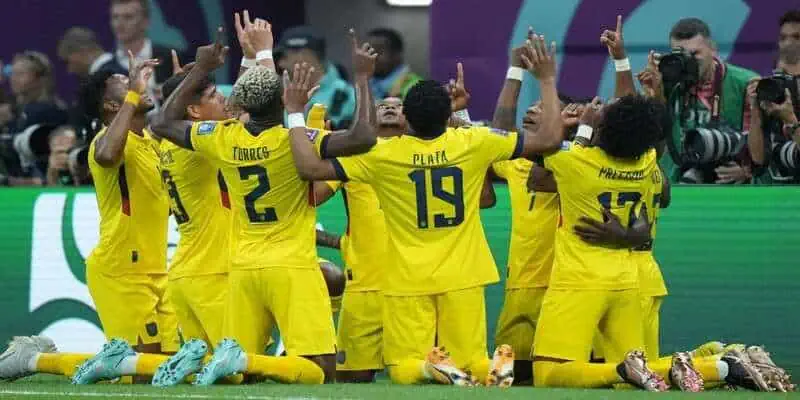 Cần kiểm soát cảm xúc bản thân khi tham gia nhận định đội tuyển Ecuador